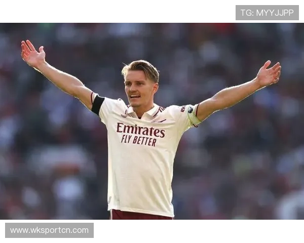 厄德高体系依赖与个人能力的战术适配差异如何体现