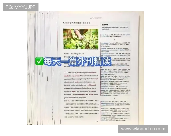 流血离场规则有哪些细节容易被误解？深入拆解裁判处理标准